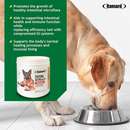 Ramard Total GI Health Supplement for Dogs (45 Soft Chews)-3