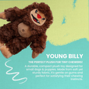 Snugarooz Young Billy Big Foot Dog Toy-4