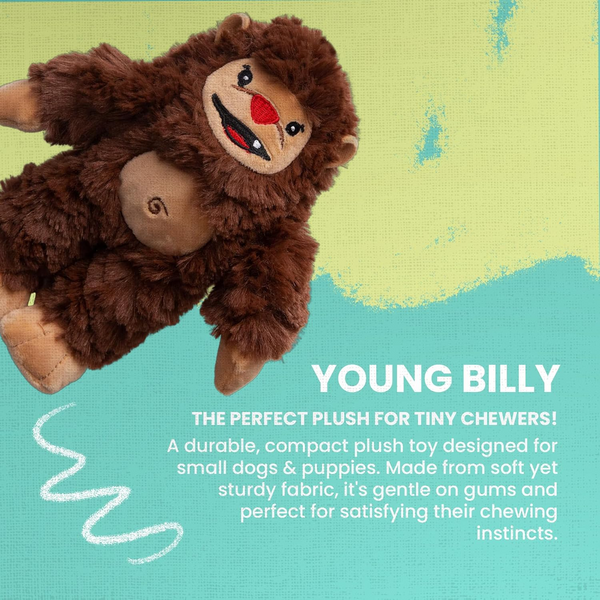 Snugarooz Young Billy Big Foot Dog Toy