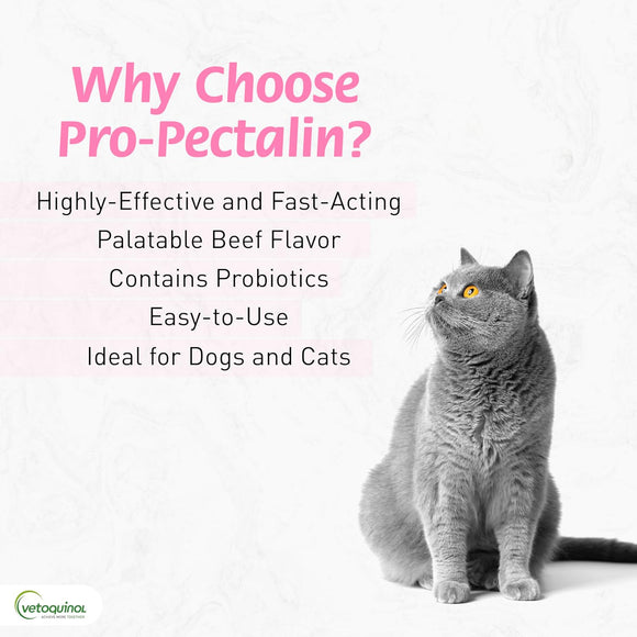 Pro-Pectalin Tablets - Anti Diarrhea Medicine for Dogs & Cats Tablets