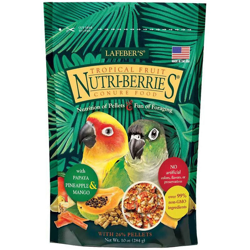 Pet Bird Food