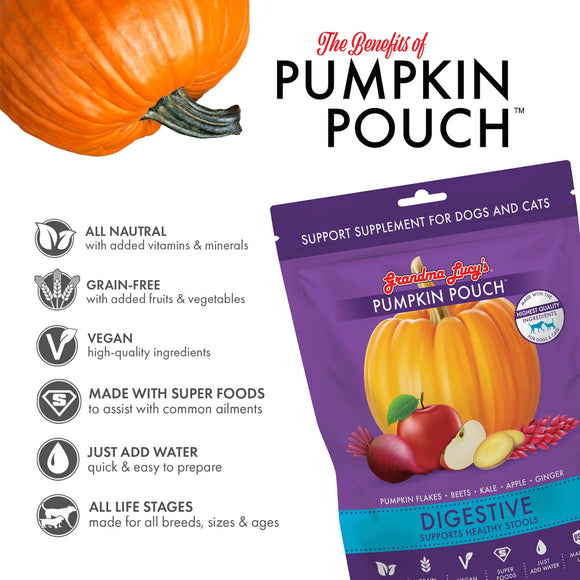 Pumpkin pouch supplement for dogs and cats with features listed on a white background