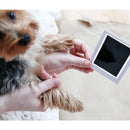 Person holding a small dog's paw with a blank photo frame in the background