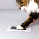 Cat interacting with a small electronic device on a white surface