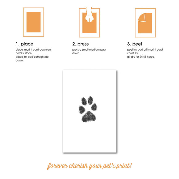 Instructions for using a paw print kit with a sample paw print on a white card.