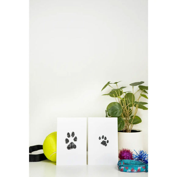 Pet accessories including a plant, tennis ball, and colorful ribbons on a white background