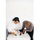 Two people interacting with two small dogs on a white surface.