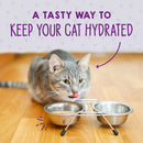 Cat drinking from a metal water bowl with text 'A tasty way to keep your cat hydrated' on a wooden floor.
