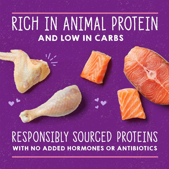 Proteins like chicken and salmon on a purple background with text about protein sources.