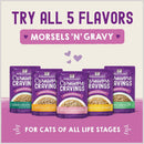 Stella & Chewy's Carnivore Cravings cat food packages on a pink background with text promoting all 5 flavors.
