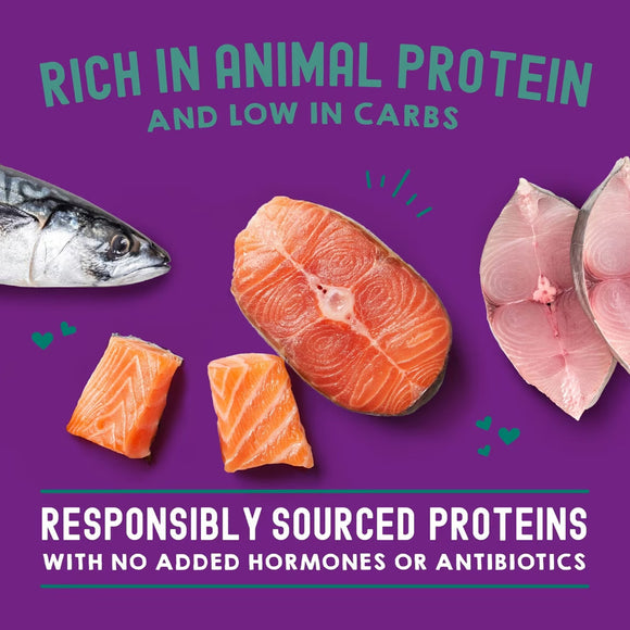 Fish fillets and pieces on a purple background with text about protein sources.
