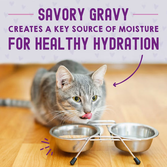 Cat eating from a bowl with text about savory gravy and hydration on a wooden floor.