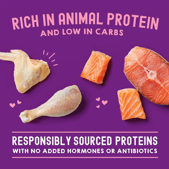 Proteins like chicken and salmon on a purple background with text about protein sources.