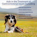 Rx Vitamins Nutrigest Powder Bowel Health Supplement For Dogs & Cats (132 g)-2