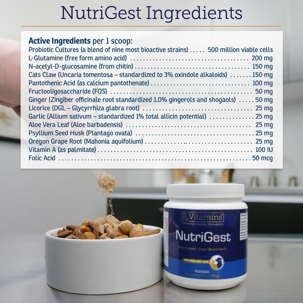 Nutrigest for dogs best sale