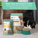 Dr. Marty Nature's Feast Essential Wellness Poultry Freeze Dried Raw Cat Food-11
