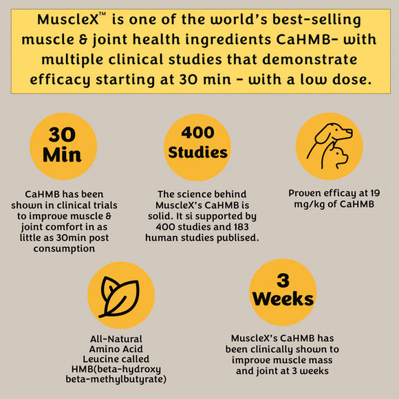 Promotional graphic for MuscleX, highlighting its benefits and clinical studies on a beige background.