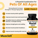 Doggy Nature's MuscleX muscle formula supplement for dogs with text about its benefits on a yellow background.