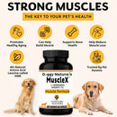 Doggy Natura's MuscleX muscle formula supplement for dogs with images of two dogs and listed benefits.