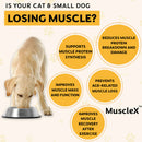 Advertisement for MuscleX showing a dog eating from a bowl with text about muscle health benefits.