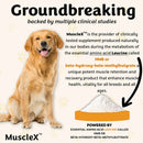 Dog with MuscleX supplement powder and text about clinical studies and amino acids