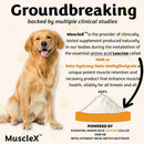 Dog with MuscleX supplement powder and text about clinical studies and amino acids