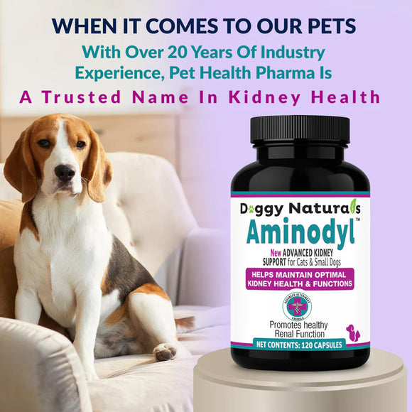 Doggy Naturals Aminodyl supplement bottle with a dog on a couch, emphasizing pet health and kidney support.