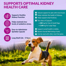 Dog playing with a ball in a grassy field, with text about kidney health care support on a purple background.