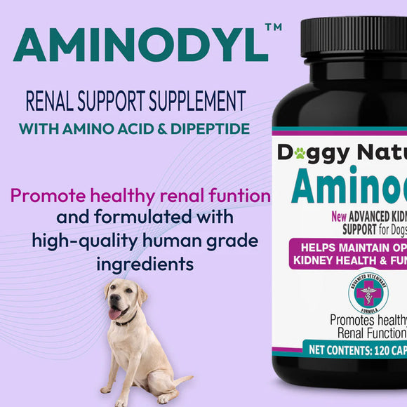Aminodyl renal support supplement for dogs with a purple background and a dog illustration.
