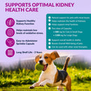 Dog holding a green ball with kidney health product information overlay