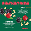 Natoo Crunchy Biscuits Oats & Berries Flavor Dog Treats