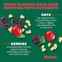 Natoo Crunchy Biscuits Oats & Berries Flavor Dog Treats