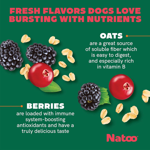 Natoo Crunchy Biscuits Oats & Berries Flavor Dog Treats