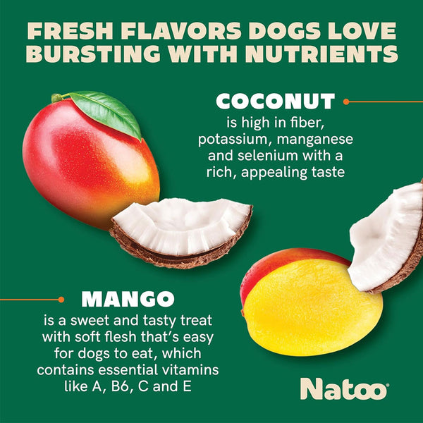 Natoo Crunchy Biscuits Big Bite Coconut & Mango Flavor Dog Treats