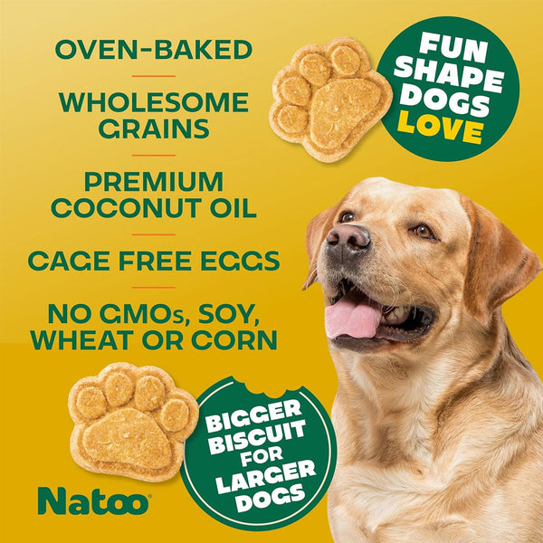 Natoo Crunchy Biscuits Big Bite Coconut & Mango Flavor Dog Treats