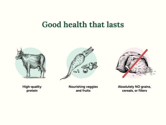 Diagram of a cow, carrots, and a piece of meat with text about high-quality protein, nourishing veggies and fruits, and no grains or fillers.