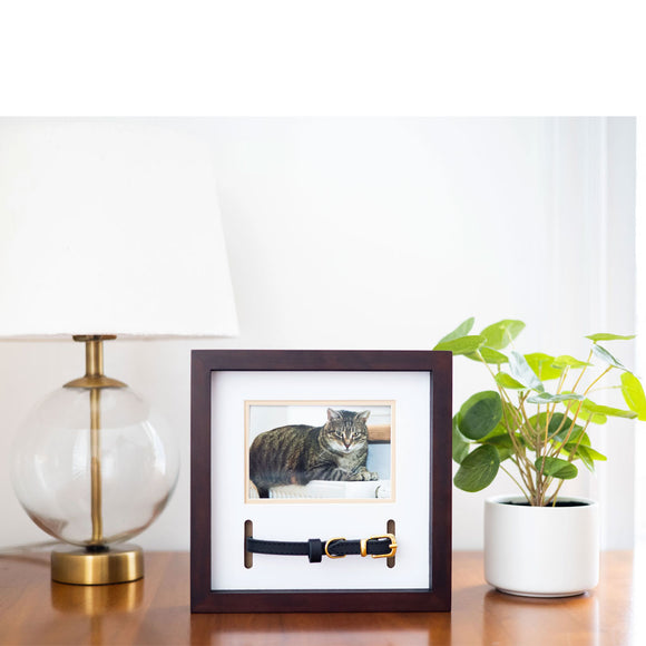 Pearhead Pet Collar and Photo Frame, Espresso