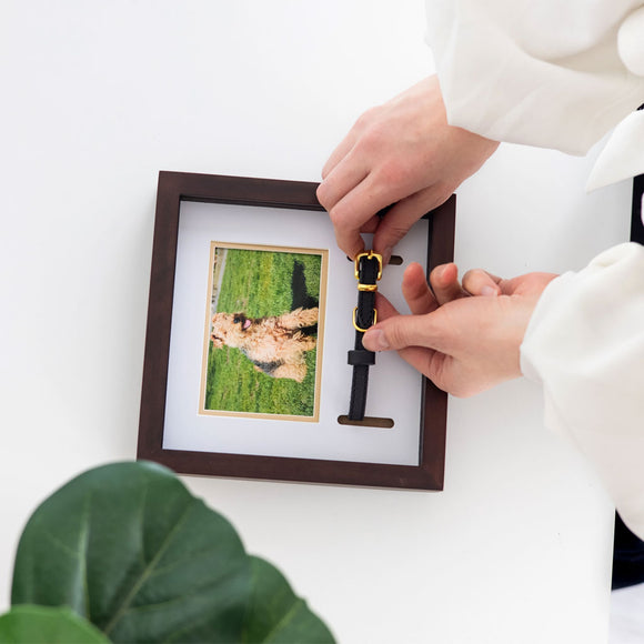 Pearhead Pet Collar and Photo Frame, Espresso
