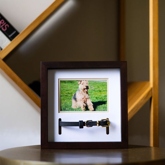 Pearhead Pet Collar and Photo Frame, Espresso