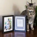 Cat standing next to two framed items on a wooden surface.