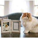 Fluffy cat sitting next to a photo frame with a picture of itself inside.