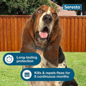 cheapest place to buy seresto collars