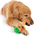 GoDog Tough N Texture Carrot Dog Toy