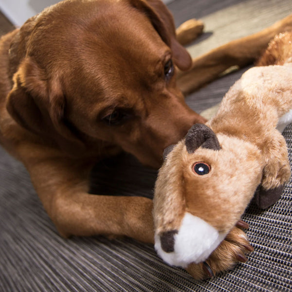 GoDog Flatz Squirrel Squeaky Plush Dog Toy