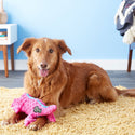 GoDog Pink Gator Chew Guard Squeaky Plush Dog Toy