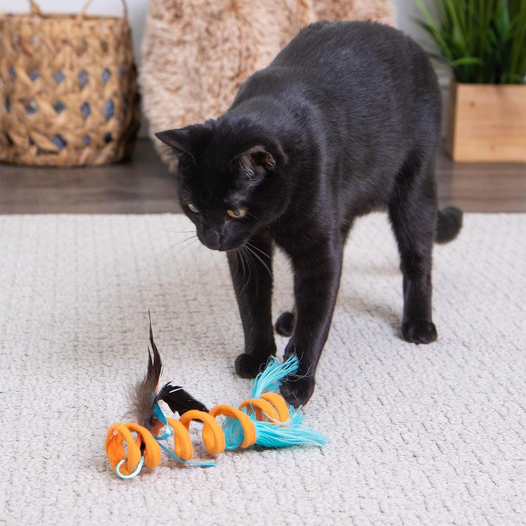 SmartyKat Instincts Crazy Coil Spring Fringe Cat Toy