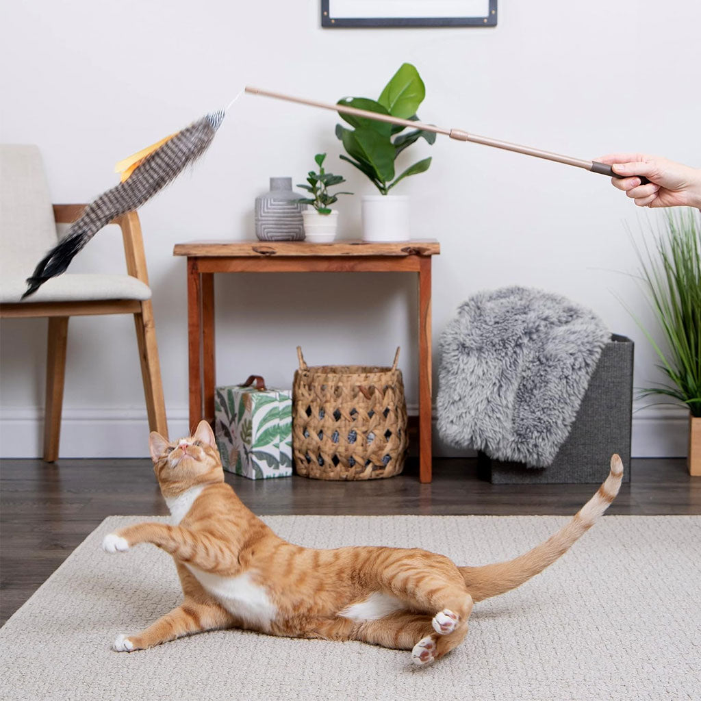 SmartyKat Instincts Fly 'N Frenzy Extendable Wand Cat Toy