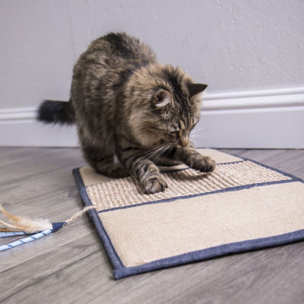 Petlinks Instincts Scratch & Play Cat Scratch Mat