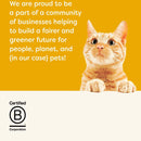 Cat on a yellow background with text about being a part of a community of businesses and a B Corporation logo.