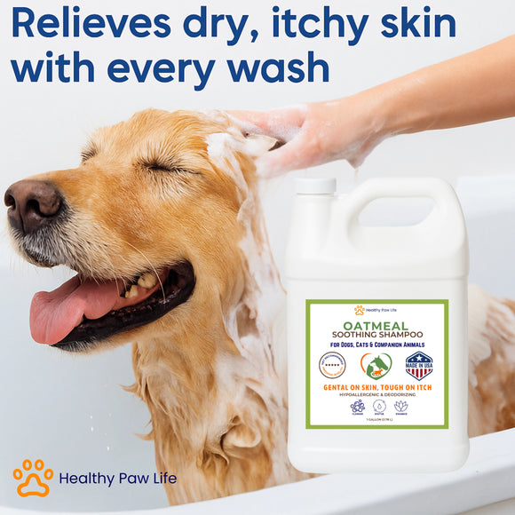 Healthy Paw Life Oatmeal Soothing Shampoo for Dogs, Cats & Companion Animals, 1-gallon
